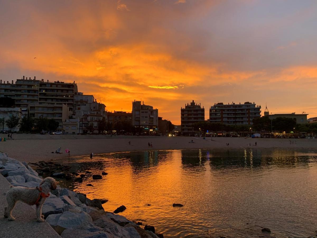 Notaria: Casco Antiguo Apartment with Garden Terrace Sant Feliu de Guixols Exterior photo